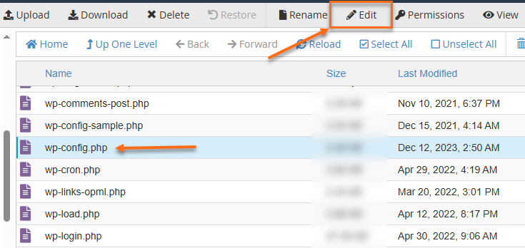 Select the wp-config.php file
