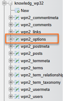 Select wp-options