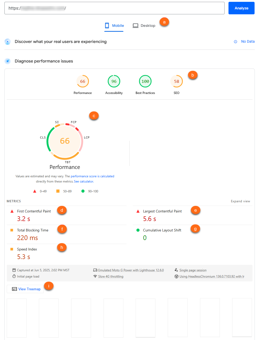 PageSpeed Performance Report - Performance Issues