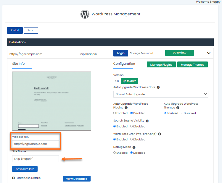 WordPress Manager - Change Site URL