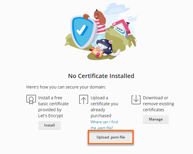 Plesk - SSL/TLS Upload