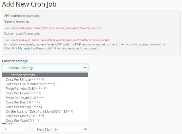 Cron Job - Common Settings