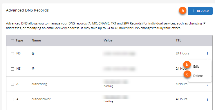 外部域 - 高级 DNS 记录