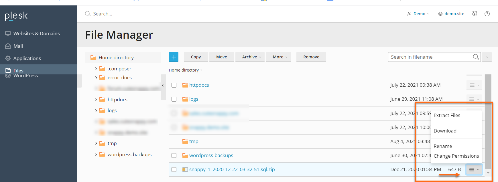 Download File in File Manager