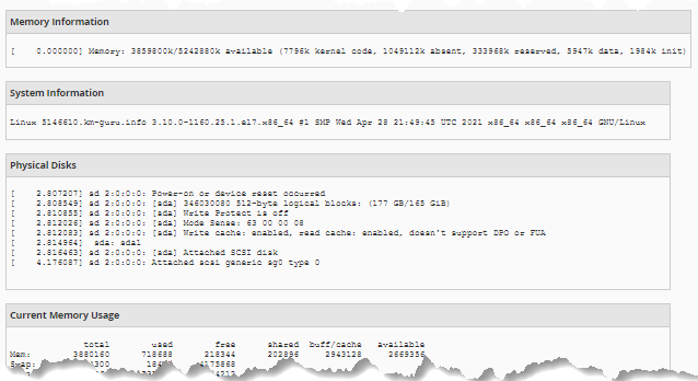 WHM - 服务器信息 - 内存信息