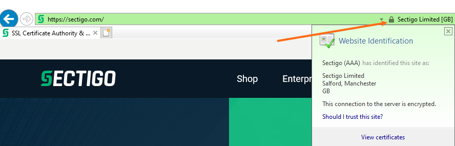 Internet Explorer - Check SSL