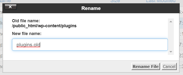 Renaming Plugin