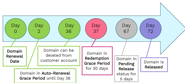 Domain Life Cycle Graphic