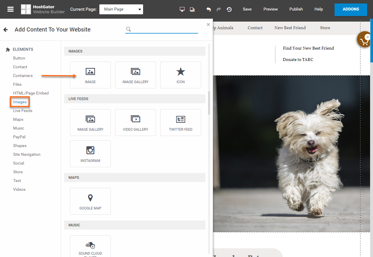 HostGator Website Builder Add Image Element