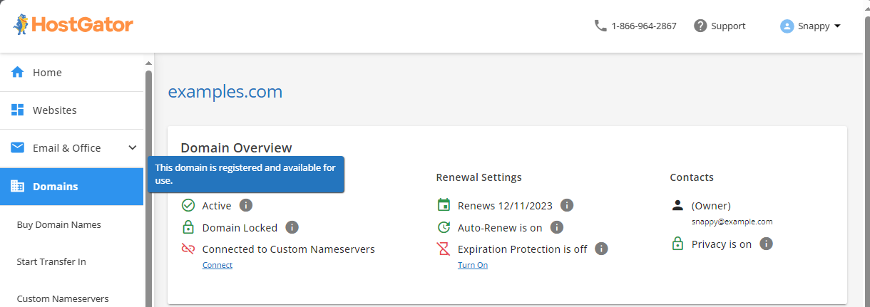 Customer Portal - Domains section