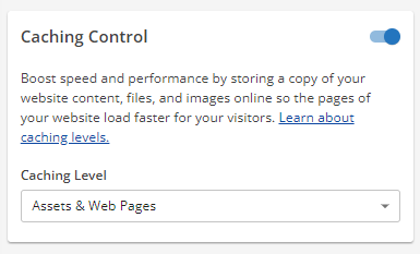 Customer Portal - Speed tab - Caching Control