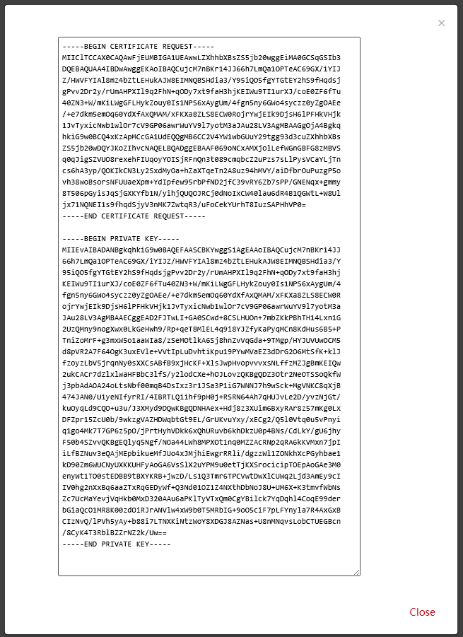 Download the Private Key and CSR Key