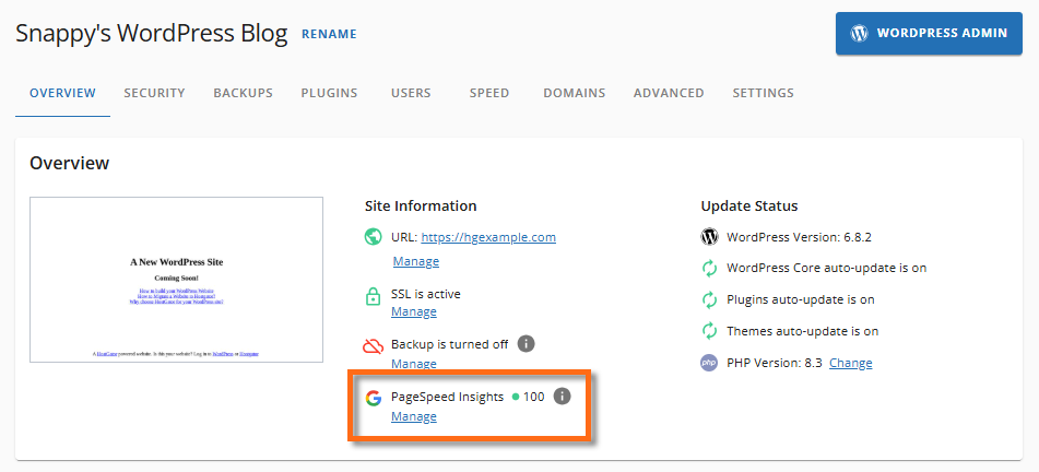 Customer Portal - Overview tab - PageSpeed Insights