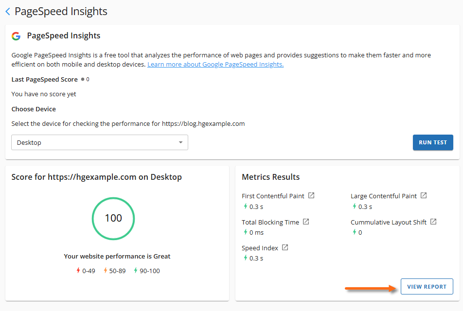 PageSpeed Insights Panel - View Report