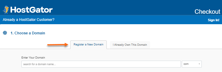 Checkout - Choose a Domain - Register domain