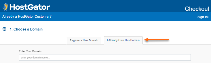 Checkout - Choose a Domain - Existing domain