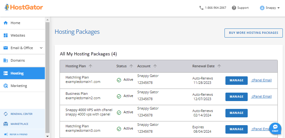 Customer Portal - Hosting tab - With multiple hosting packages