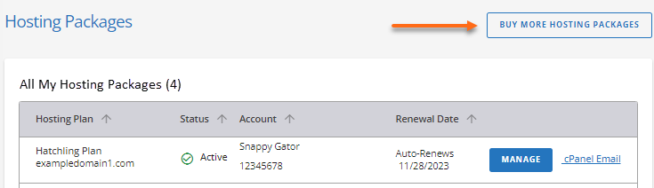 Customer Portal - Hosting tab - Buy More Hosting Packages