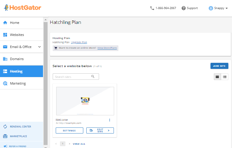 Customer Portal - Hosting tab - With one package management page