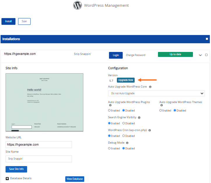 WordPress Manager - Version Upgrade