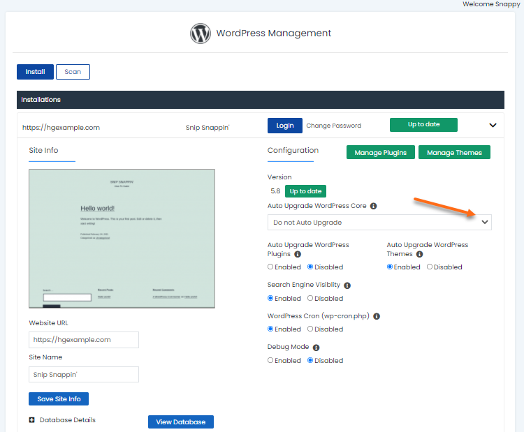 WordPress Manager - Core Settings