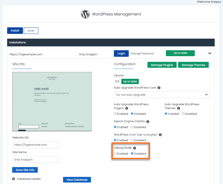 WordPress Manager - Debug Mode