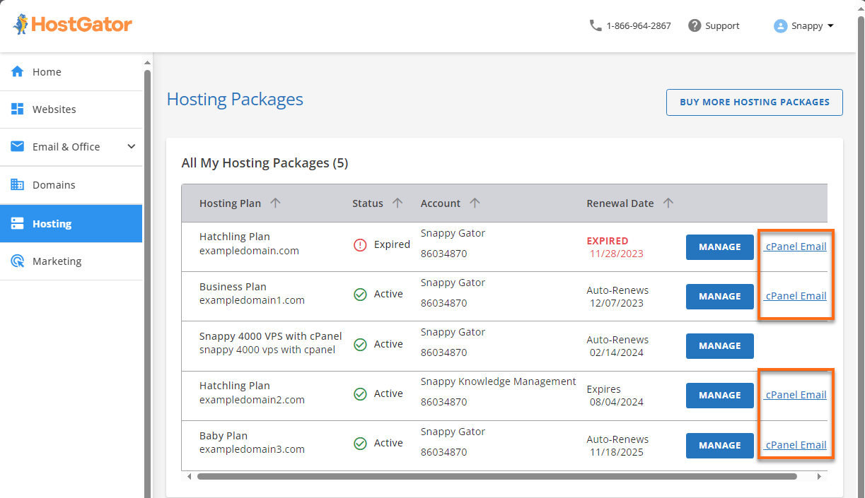 Customer Portal - cPanel Email