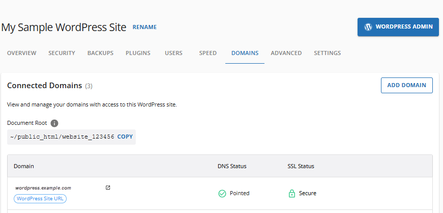 Connections - Websites tab - Domains menu - Connected Domains