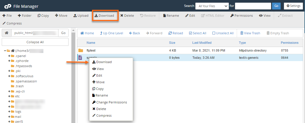 File Manager - Download