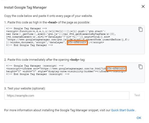 Googe Tag Manager Script