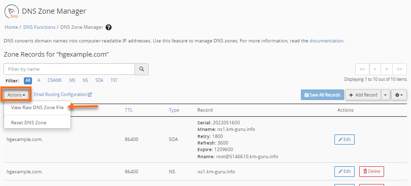 WHM - DNS Zone Manager - Action - View Raw DNS Zone File