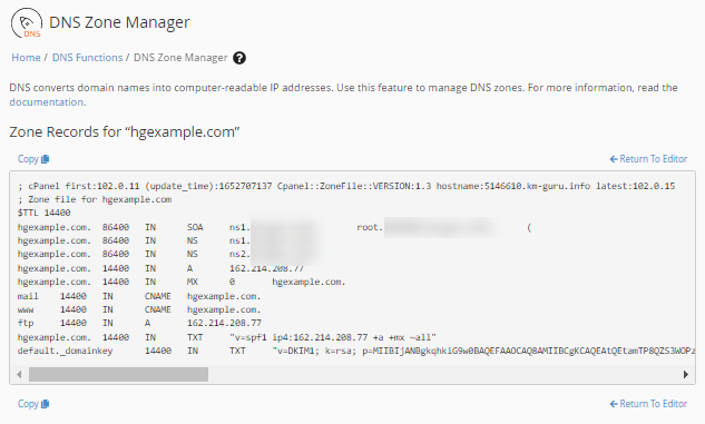WHM - DNS zone raw format