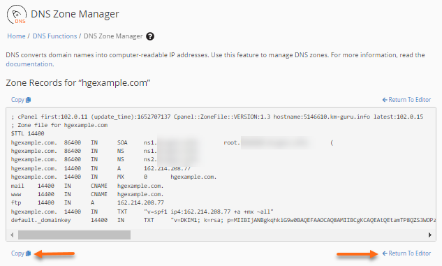 WHM - DNS raw format - Copy or Return