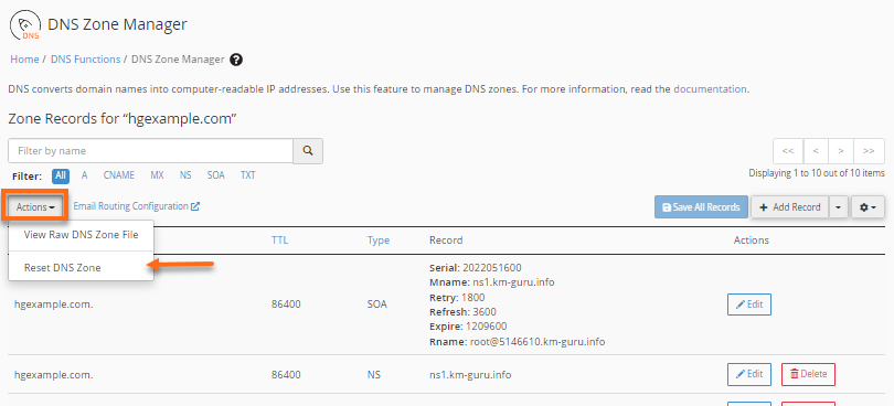 WHM - Action - Reset DNS zone