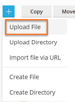 HostGator - Plesk File Manager Upload File