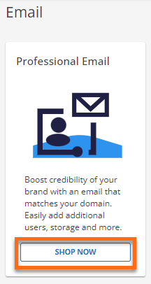 Professional Email - Shop Now