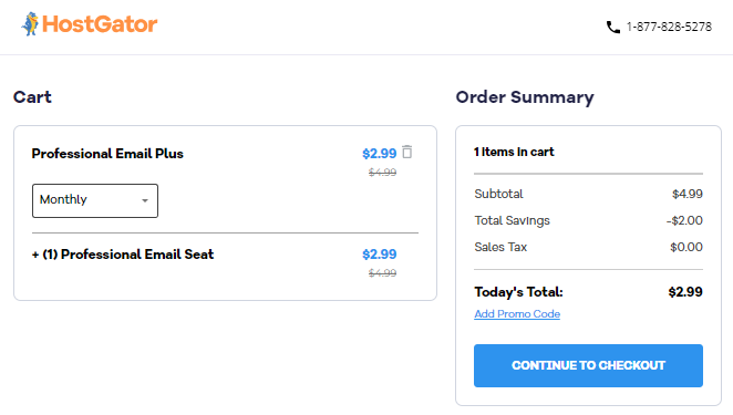 Professional Email - Order Summary