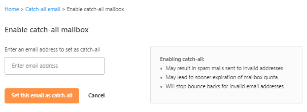Manage Professional Email - Enable catch-all mailbox