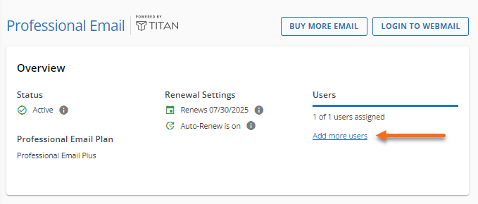 Professional Email - Add more users
