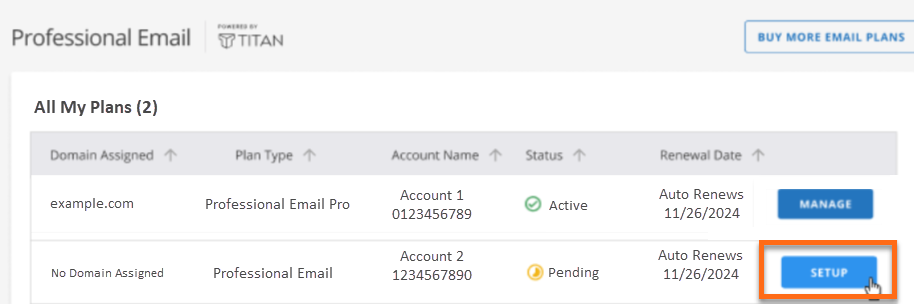 Professional Email - Setup