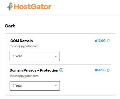 Checkout - Domain Privacy + Protetion