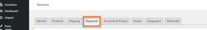 Payments tab