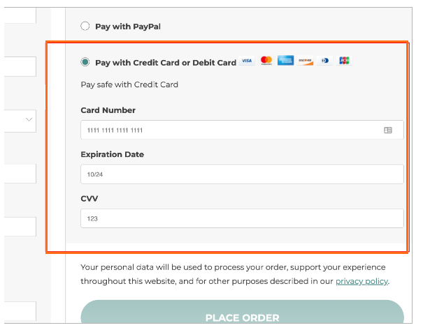 Payment options checkout